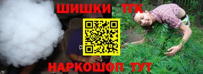 крисы Заводоуковск