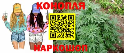 крисы Заводоуковск