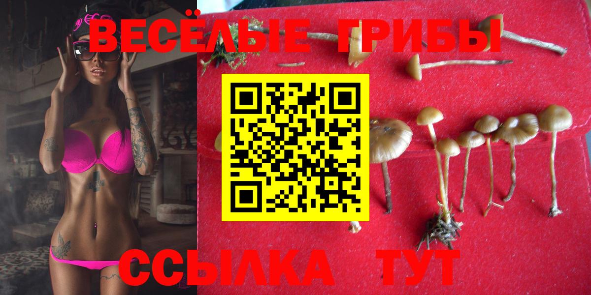 Псилоцибиновые грибы ЛСД Димитровград